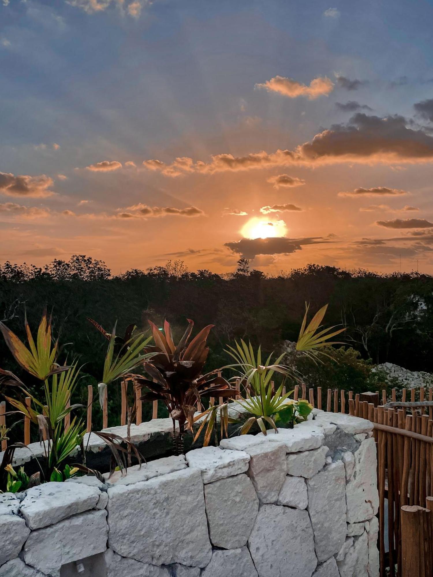 Jungle Boho Designer Apart 11 W50 Off Access Hotel Bardo Tulum Dış mekan fotoğraf